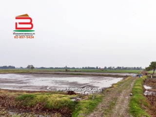 LINE_ALBUM_No. 011549 LD 25-1-56  ไร่ สุพรรณบุรี_260202_13