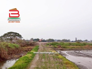 LINE_ALBUM_No. 011549 LD 25-1-56  ไร่ สุพรรณบุรี_260202_15