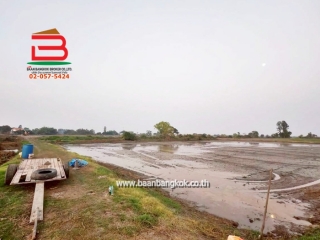 LINE_ALBUM_No. 011549 LD 25-1-56  ไร่ สุพรรณบุรี_260202_17