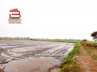 LINE_ALBUM_No. 011549 LD 25-1-56  ไร่ สุพรรณบุรี_260202_18