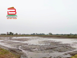 LINE_ALBUM_No. 011549 LD 25-1-56  ไร่ สุพรรณบุรี_260202_20