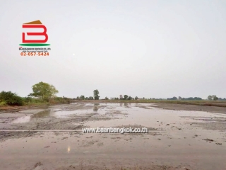 LINE_ALBUM_No. 011549 LD 25-1-56  ไร่ สุพรรณบุรี_260202_21