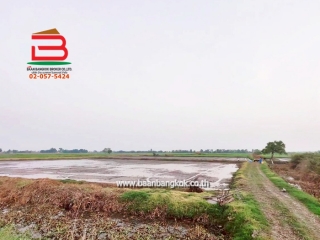 LINE_ALBUM_No. 011549 LD 25-1-56  ไร่ สุพรรณบุรี_260202_22