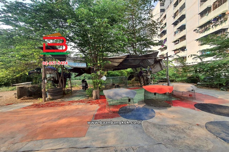 LINE_ALBUM_No.11595 ที่ดินเปล่า ซ.เพชรเกษม63(ซ.วัดม่วง)_260221_7