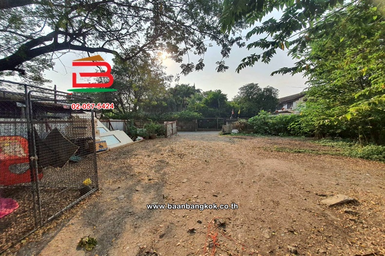 LINE_ALBUM_No.11595 ที่ดินเปล่า ซ.เพชรเกษม63(ซ.วัดม่วง)_260221_9