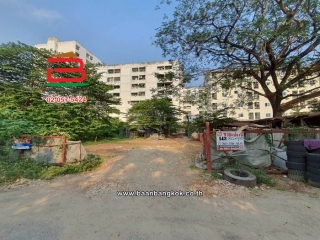 11595, ที่ดินเปล่า เนื้อที่ 143 ตร.ว. ซอยเพชรเกษม 63 (ซอยวัดม่วง) ถนนเพชรเกษม แขวงหลักสอง เขตบางแค 