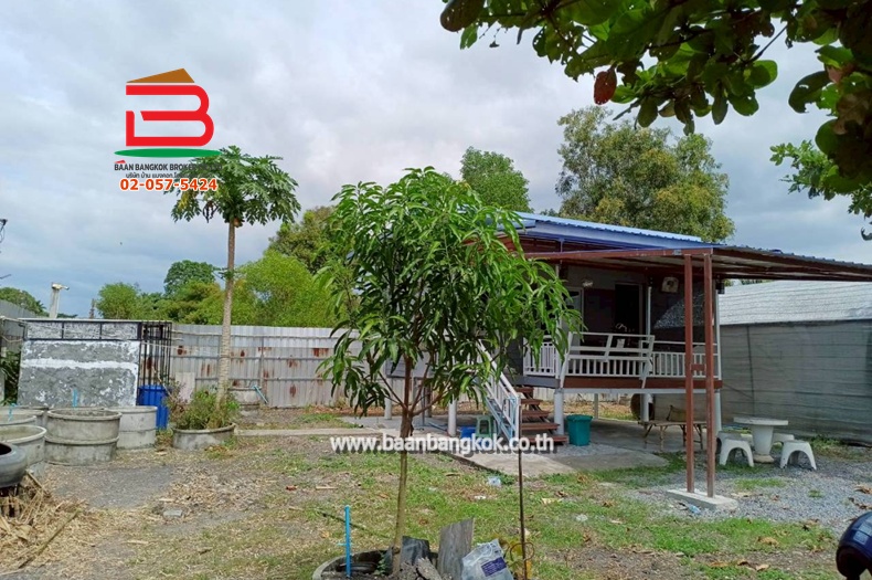 LINE_ALBUM_No.011680ที่ดินพร้อมสิ่งปลูกสร้าง127ตรว.องคร._260302_2