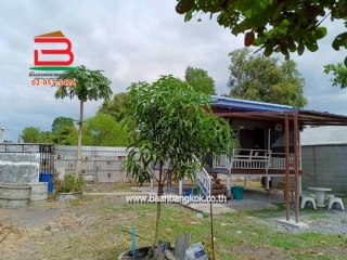 LINE_ALBUM_No.011680ที่ดินพร้อมสิ่งปลูกสร้าง127ตรว.องคร._260302_2