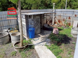 LINE_ALBUM_No.011680ที่ดินพร้อมสิ่งปลูกสร้าง127ตรว.องคร._260302_21