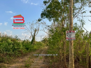 11571, ที่ดินเปล่า เนื้อที่ 200 ตร.ว. ซอยตรงข้ามปั๊มคาลเท็กซ์ คลอง 11 ถนนรังสิต-นครนายก ตำบลบึงน้ำรักษ์ อำเภอธัญบุรี ปทุมธานี  