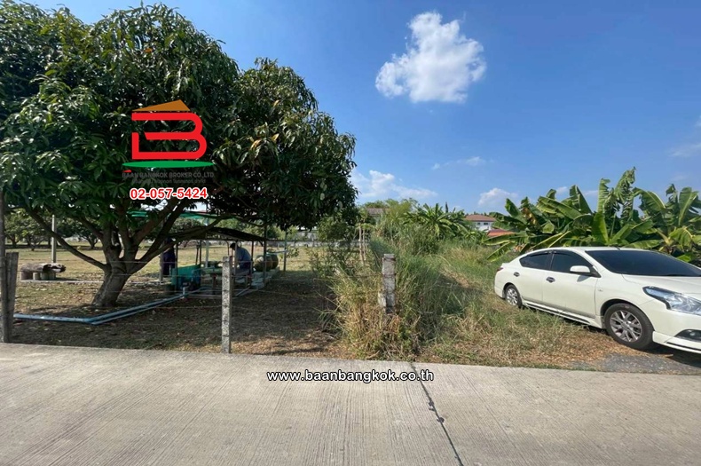 ที่ดินเปล่า เนื้อที่ 527 ตร.ว. ซอยหทัยราษฎร์ 41 (ใกล้ตลาดมารวย) ถนนหทัยราษฎร์ แขวงสามวาฝั่งตะวันตก เขตมีนบุรี(เมือง)    