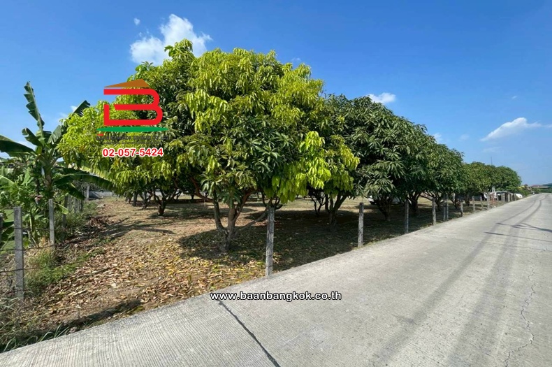 LINE_ALBUM_no 11800 ที่ดิน ซอยหทัยราษฎร์ 41_260317_7