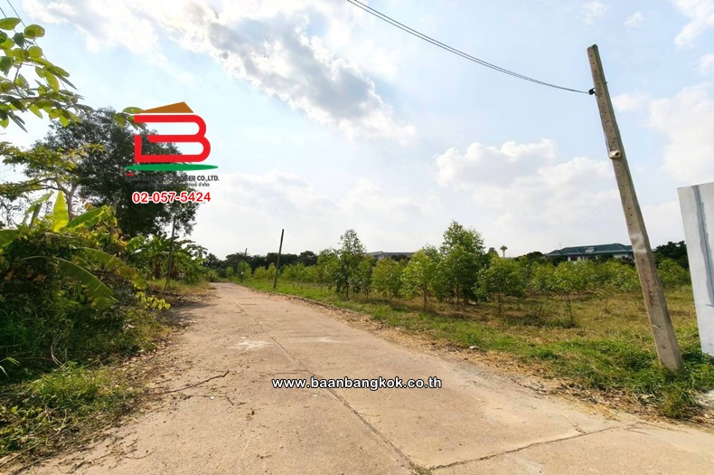 LINE_ALBUM_L.11735ที่ดิน5ไร่ค.3Lek_260407_28