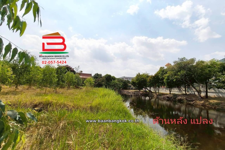 LINE_ALBUM_L.11735ที่ดิน5ไร่ค.3Lek_260407_35