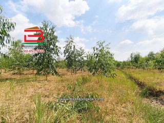 LINE_ALBUM_L.11735ที่ดิน5ไร่ค.3Lek_260407_37