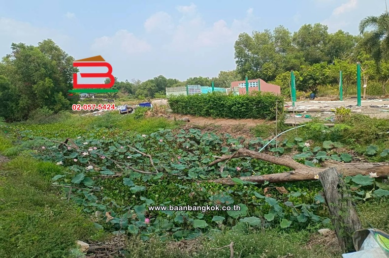 LINE_ALBUM_No.11814 ที่ดินเปล่าอ.องครักษ์_260420_12