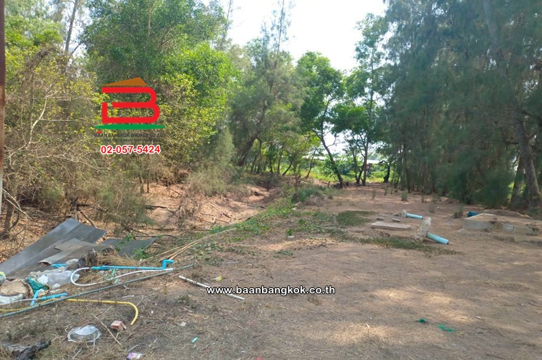 LINE_ALBUM_No.11814 ที่ดินเปล่าอ.องครักษ์_260420_5