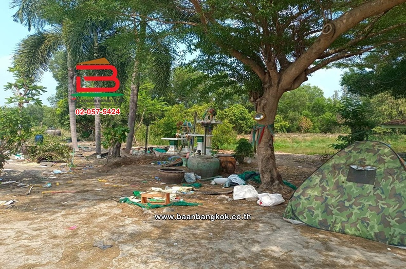 LINE_ALBUM_No.11814 ที่ดินเปล่าอ.องครักษ์_260420_6