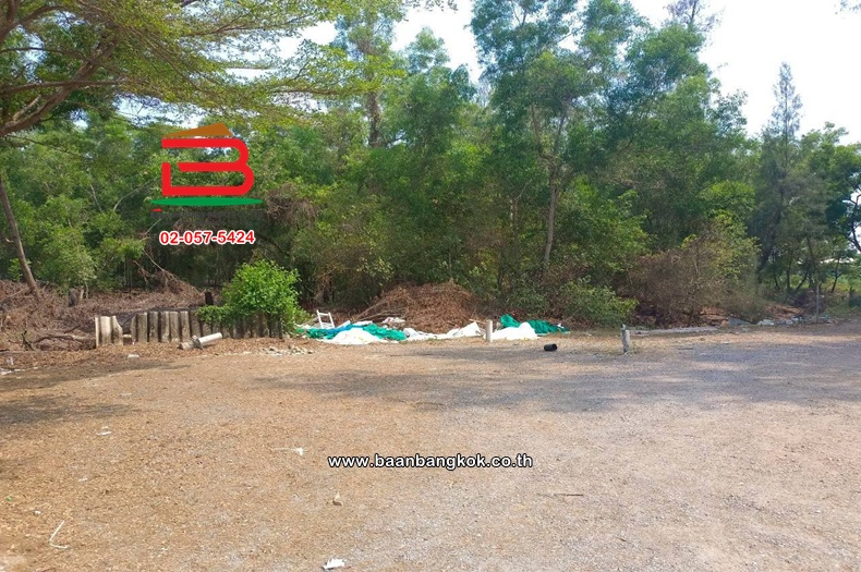 LINE_ALBUM_No.11814 ที่ดินเปล่าอ.องครักษ์_260420_7