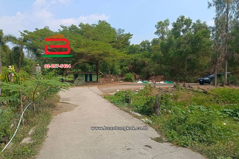 LINE_ALBUM_No.11814 ที่ดินเปล่าอ.องครักษ์_260420_9