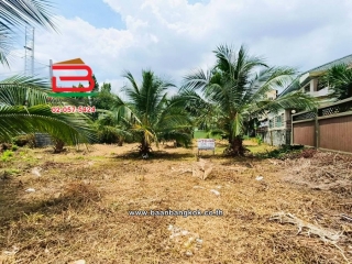 12148, ที่ดินเปล่า (แปลงหลังริม) เนื้อที่ 156 ตร.ว. หมู่บ้านเฉลิมพระเกียรติ (ตรงข้ามซอยเฉลิมพระเกียรติซอย 4) ตำบลบางศรีเมือง อำเภอเมืองนนทบุรี นนทบุรี     