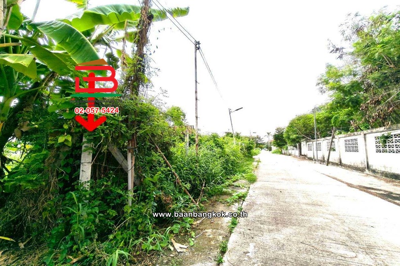 LINE_ALBUM_2026.6.1_260601_5