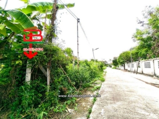 LINE_ALBUM_2026.6.1_260601_5