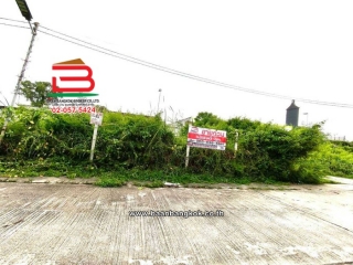 LINE_ALBUM_2026.6.1_260601_8