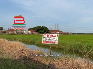 11790, ที่ดินเปล่า เนื้อที่ 7 ไร่ ซอยติดหมู่บ้านเลอมาน ใกล้สนง.เทศบาลตำบลธัญบุรี ถนนเลียบคลอง 7 ตำบลลำลูกกา อำเภอลำลูกกา ปทุมธานี 