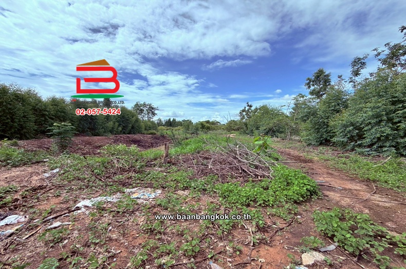 LINE_ALBUM_No. 011812 ที่ดิน 21 ไร่ สารคาม_260618_44