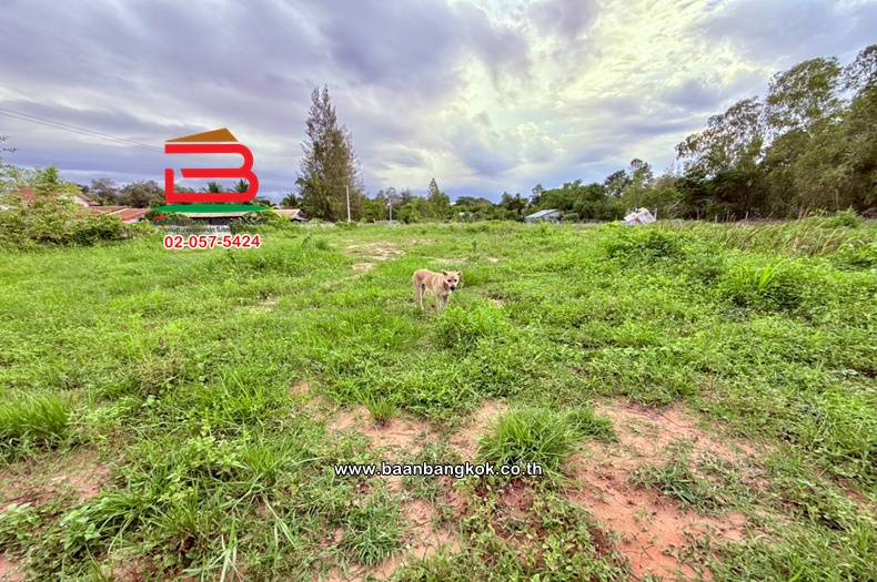 ที่ดินเปล่า เนื้อที่ 3-3-19 ไร่ ชุมชนเข็งใหม่พัฒนา (ซอยโรงแรมแสนสุขรีสอร์ท) ถนนขอนแก่น-ยางตลาด ตำบลเสือเฒ่า อำเภอเชียงยืน มหาสารคาม  