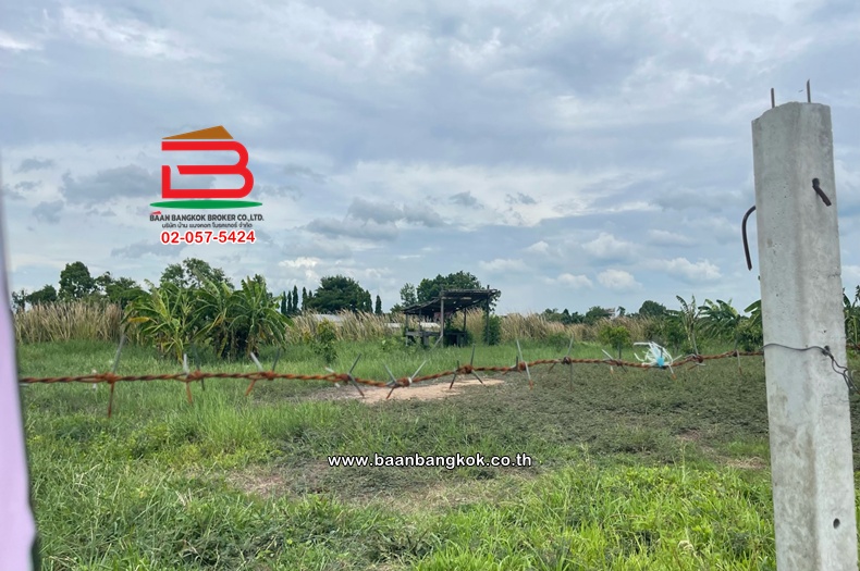 LINE_ALBUM_No.12359 ที่ดิน 1-0-22 หนองจอก (ส้ม)_260713_31