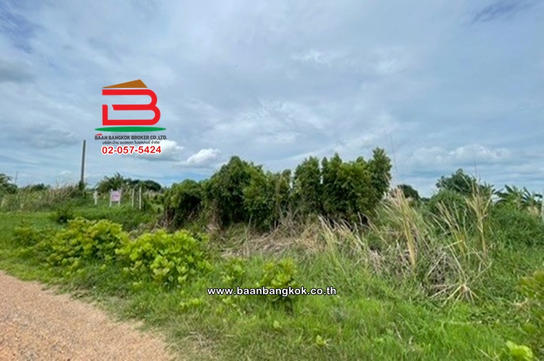 LINE_ALBUM_No.12359 ที่ดิน 1-0-22 หนองจอก (ส้ม)_260713_5