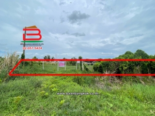 LINE_ALBUM_No.12359 ที่ดิน 1-0-22 หนองจอก (ส้ม)_260713_9