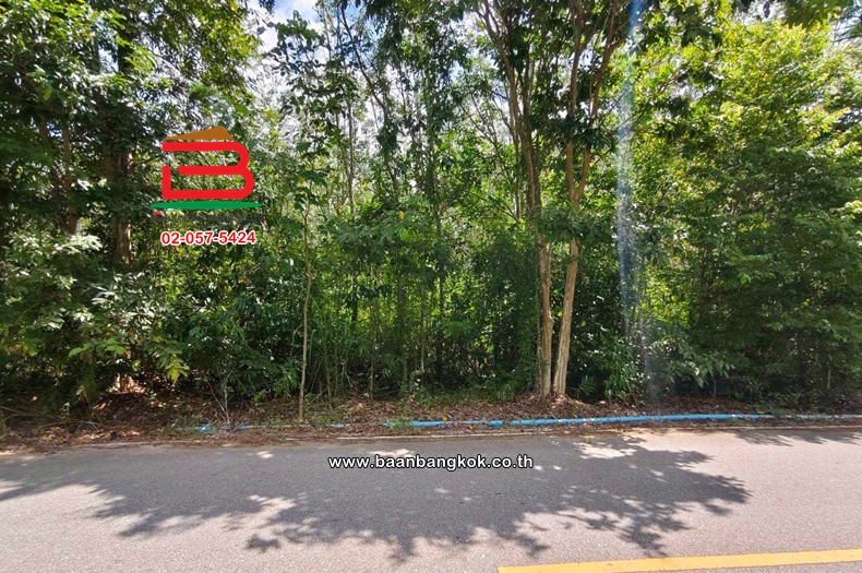 ที่ดินเปล่า เนื้อที่ 17-0-53 ไร่ วังจันทร์-ระยอง ใกล้วัดเขาตลาดสิงหเสนี ทางหลวงแผ่นดินหมายเลข 344 (บ้านบึง-แกลง) ตำบลพลงตาเอี่ยม อำเภอวังจันทร์ ระยอง    