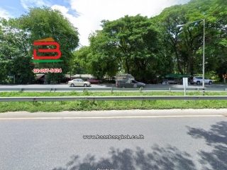 ขวา 01