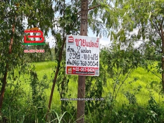 LINE_ALBUM_No.ที่ดินแปลงนา 33-0-60 ไร่ ต.เกาะโพธิ์ ( ต้น )_260921_1