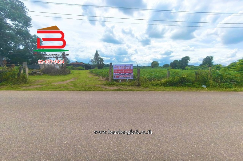 ที่ดิน ปากท่อ-ราชบุรี (ทุ่งหลวงซอย 10) เนื้อที่ 27-2-67 ไร่ ตำบลทุ่งหลวง อำเภอปากท่อง จังหวัดราชบุรี