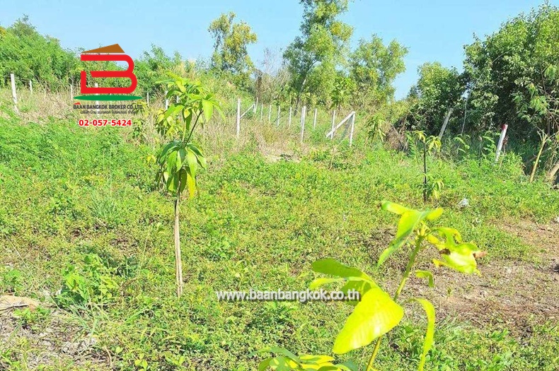 ที่ดินเปล่า เนื้อที่ 100 ตร.ว. ซอยศรีฟ้า ถนนรังสิต-นครนายก ตำบลบึงน้ำรักษ์ อำเภอธัญบุรี ปทุมธานี   