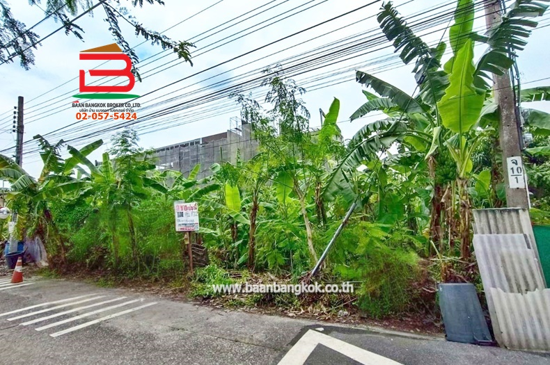 ที่ดิน ถมแล้ว เนื้อที่ 101 ตรว. ซอยลาดพร้าว 80 แยก 20 (ใกล้BTS ลาดพร้าว 71) ถนนลาดพร้าว แขวงวังทองหลาง เขตบางกะปิ