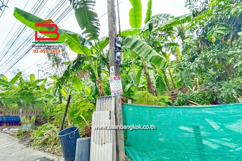 LINE_ALBUM_No.11157ที่ดินลาดพร้าว(ถมแล้ว)_251107_16