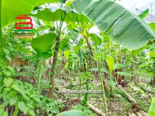 LINE_ALBUM_No.11157ที่ดินลาดพร้าว(ถมแล้ว)_251107_13