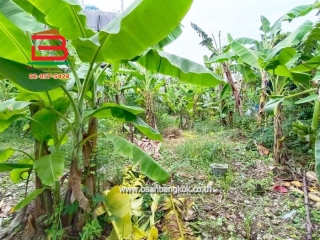 LINE_ALBUM_No.11157ที่ดินลาดพร้าว(ถมแล้ว)_251107_15