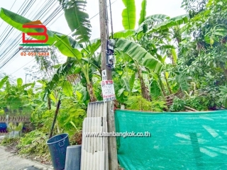 LINE_ALBUM_No.11157ที่ดินลาดพร้าว(ถมแล้ว)_251107_16